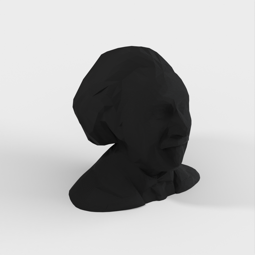 Low Poly Albert Einstein Buste/skulptur