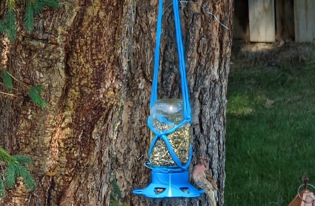 Mason Jar Fuglefoderlåg