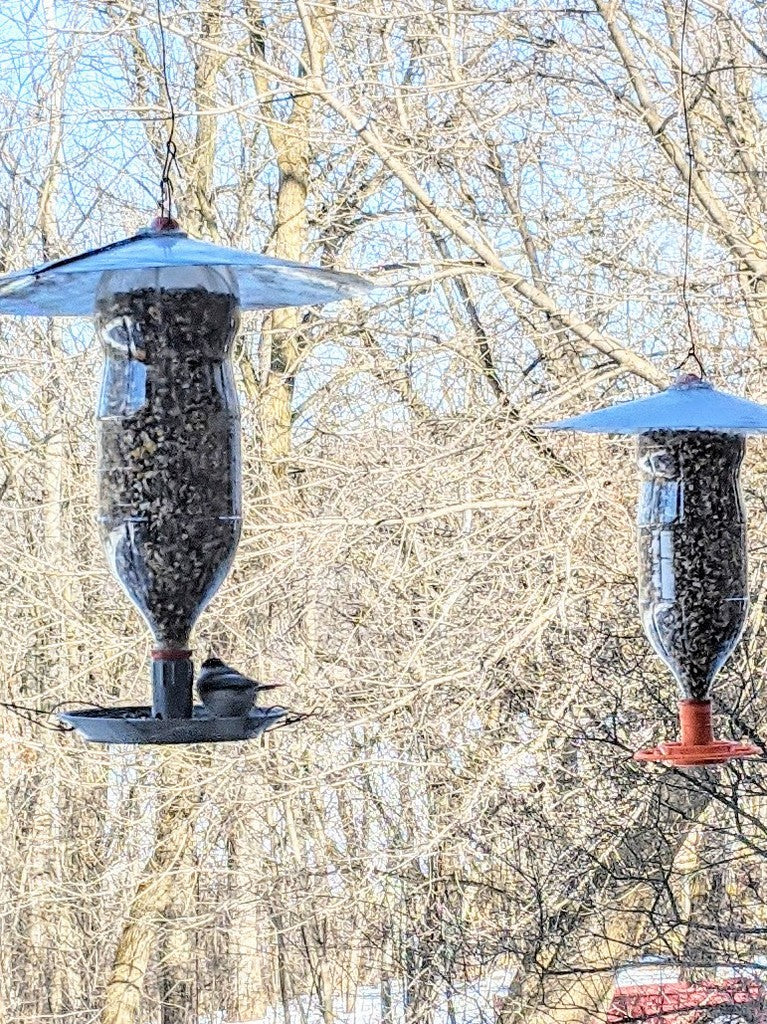 Forbedret Soda Flaske Fuglefoder