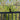Sikker Fugle Landingsplads - Bird Rail Perch