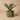 Moderne sekskantet vase og plantepotte