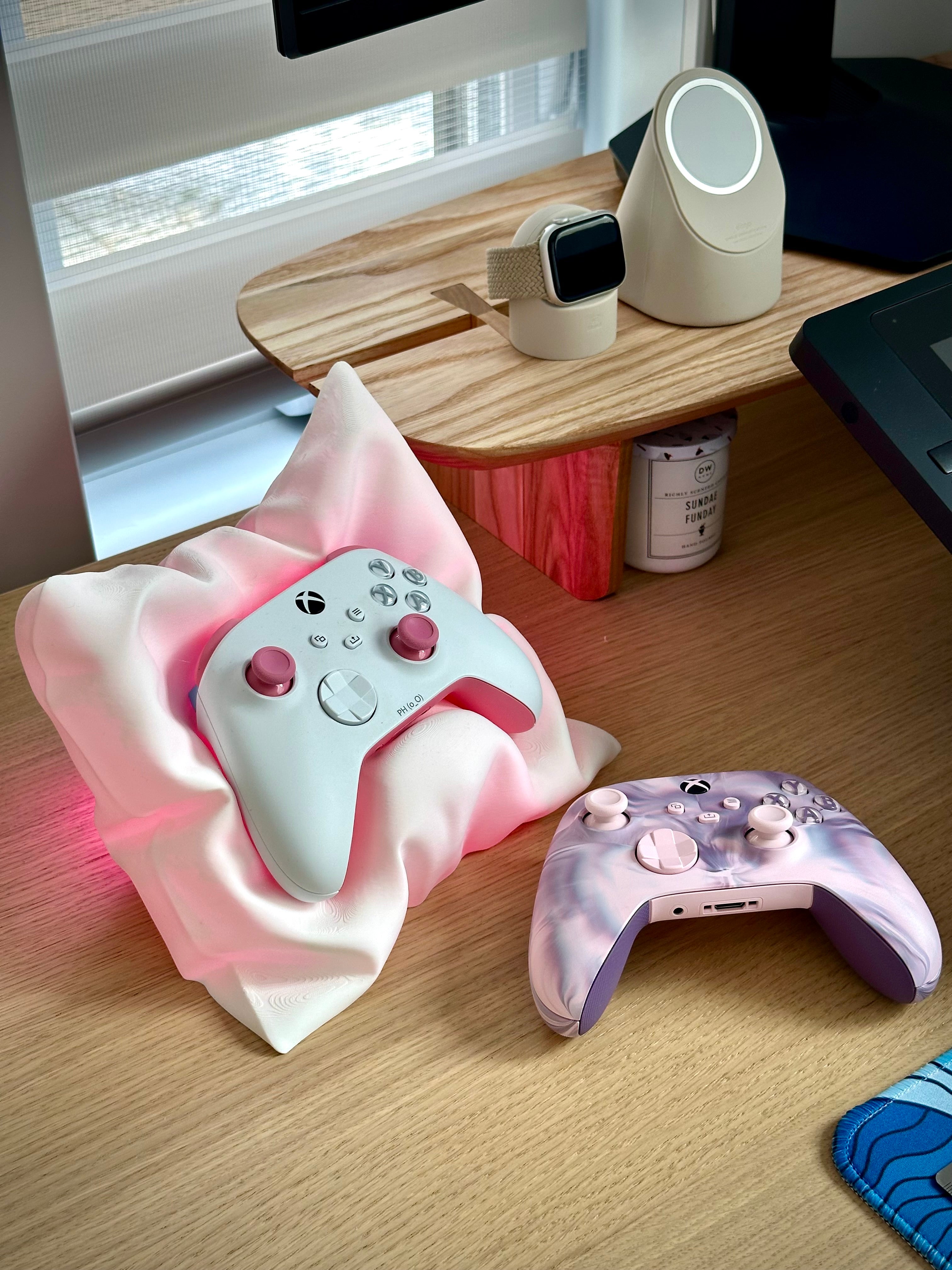 Xbox og Switch Pro Controller Pudeholder