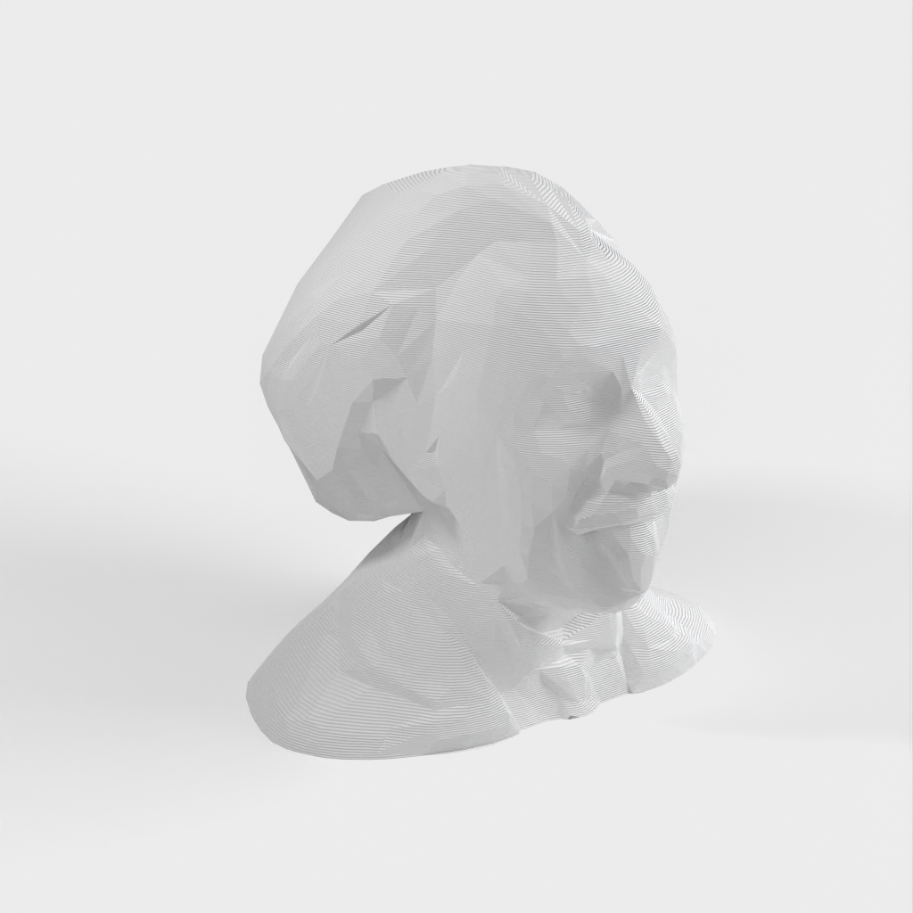 Low Poly Albert Einstein Buste/skulptur