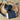 CPAP WS7040 Driver DIN-Skinne Kabinet