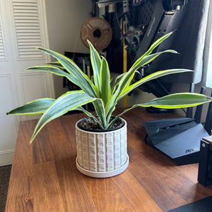 Mid Century Modern Plantepotte med drypbakke
