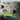 Xbox Controller Vægmontering