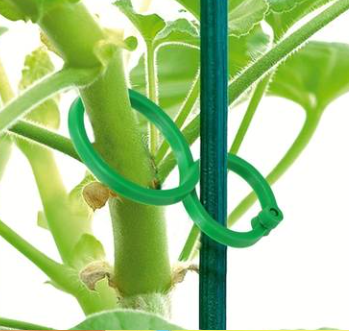 Praktiske Planteklips til Klatreplanter
