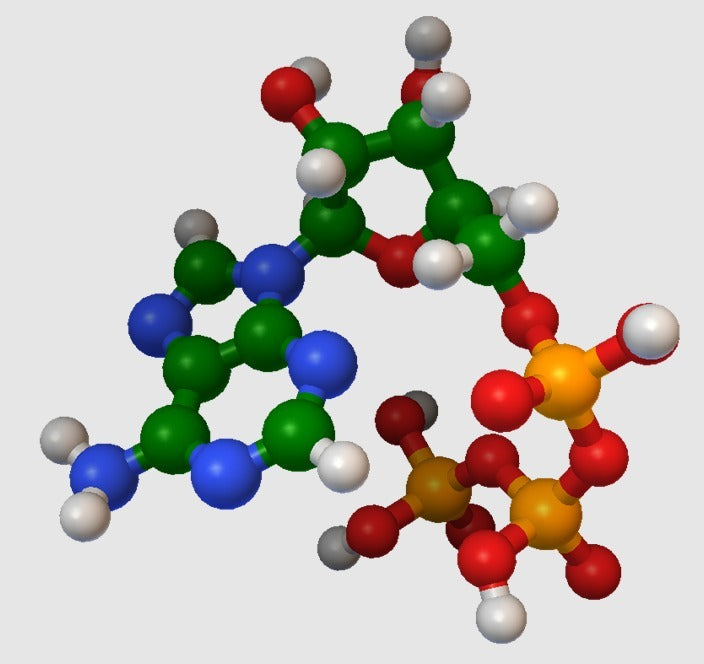 Molekylær Model - ATP (Adenin TriPhosphate) - Atomskalamodel
