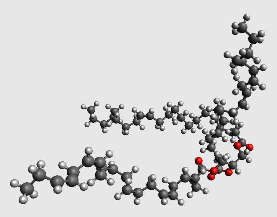 Triacylglycerol Molekylmodel i Atomær Skala