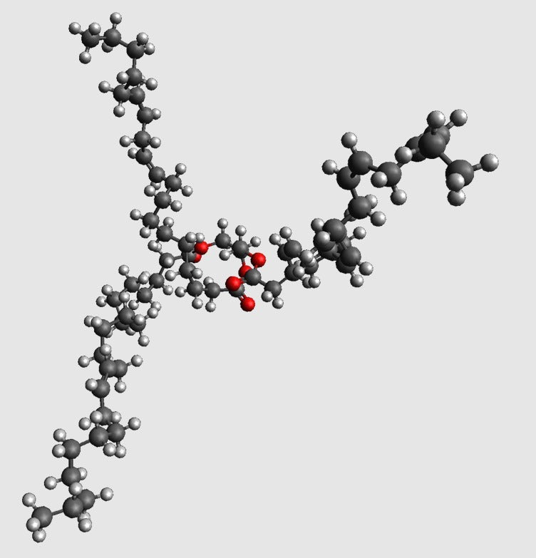 Triacylglycerol Molekylmodel i Atomær Skala